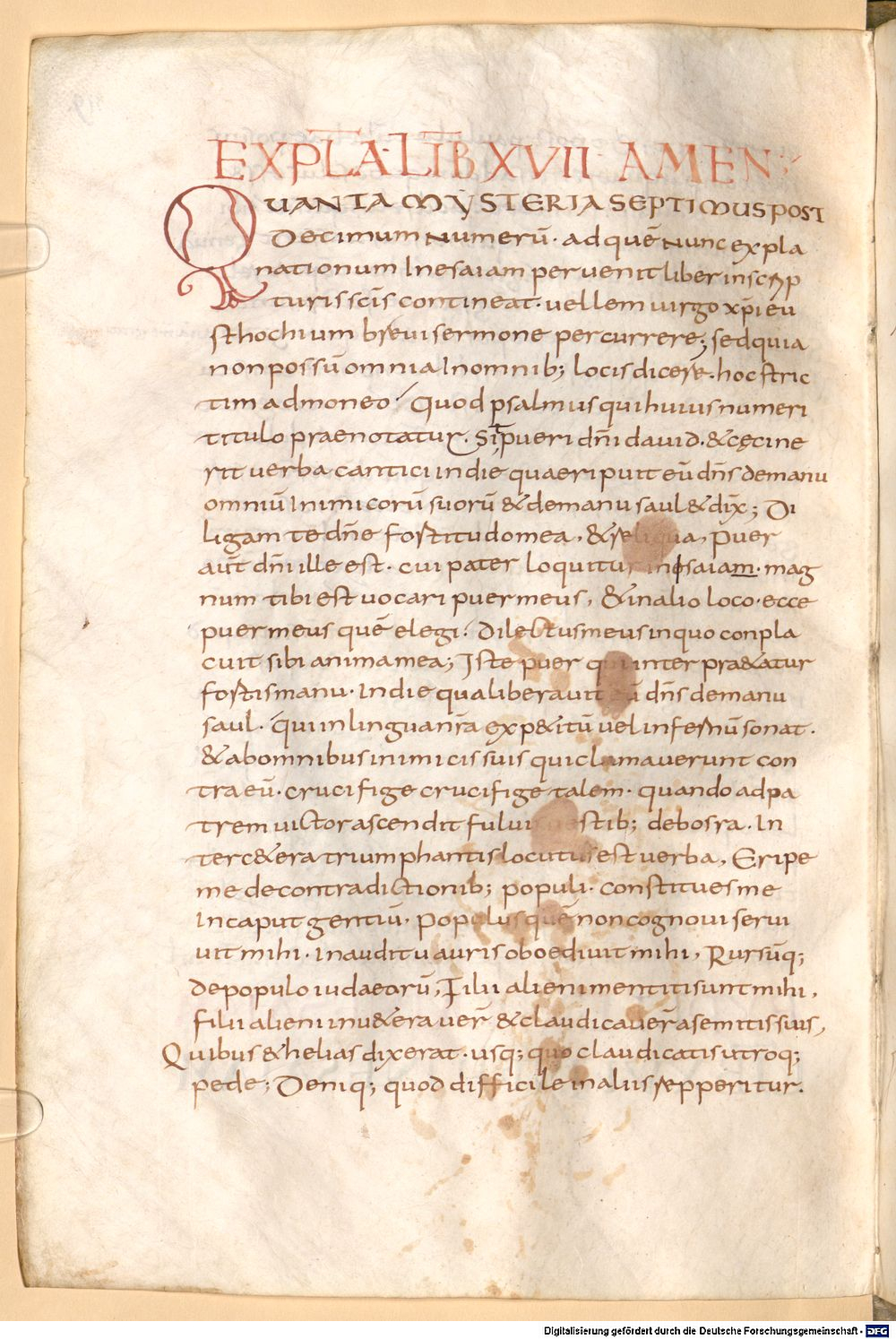 Image
