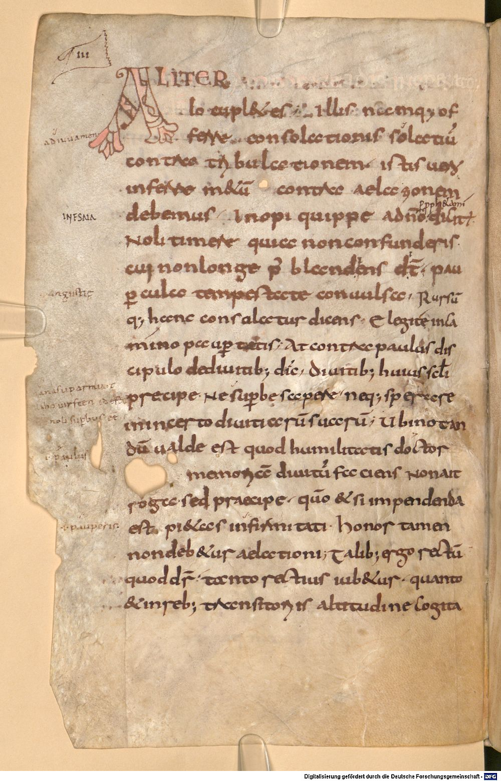 Image