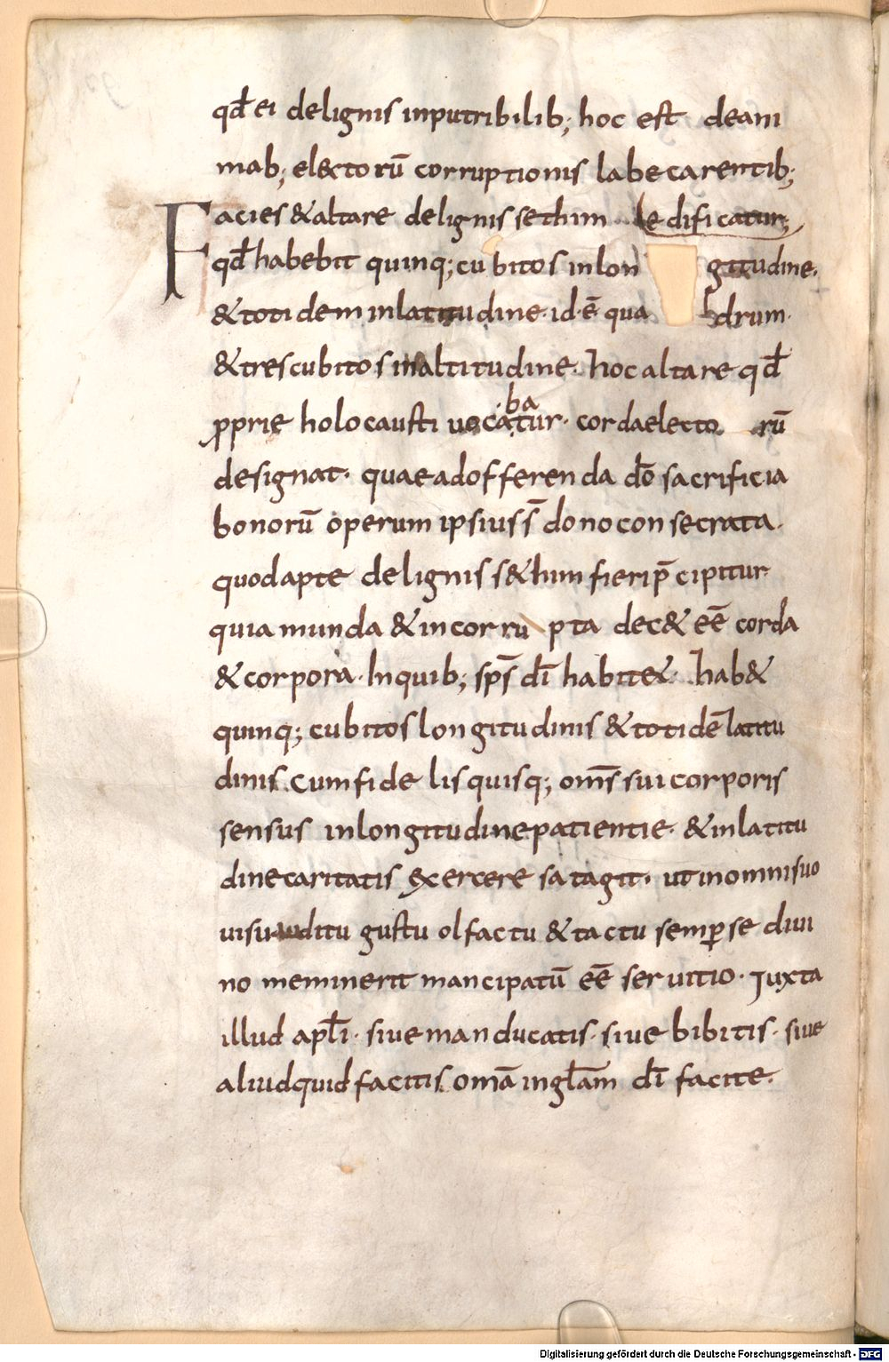 Image