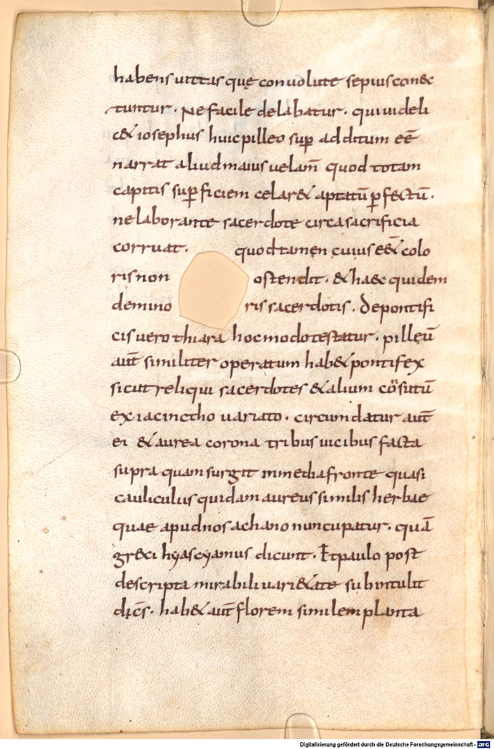 Image