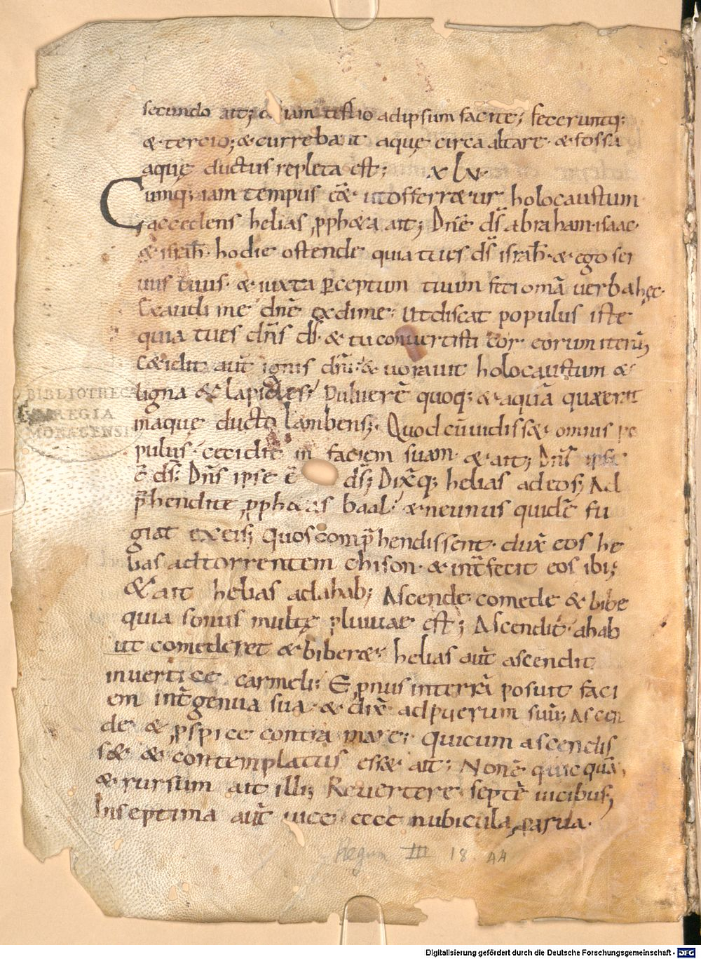 Image