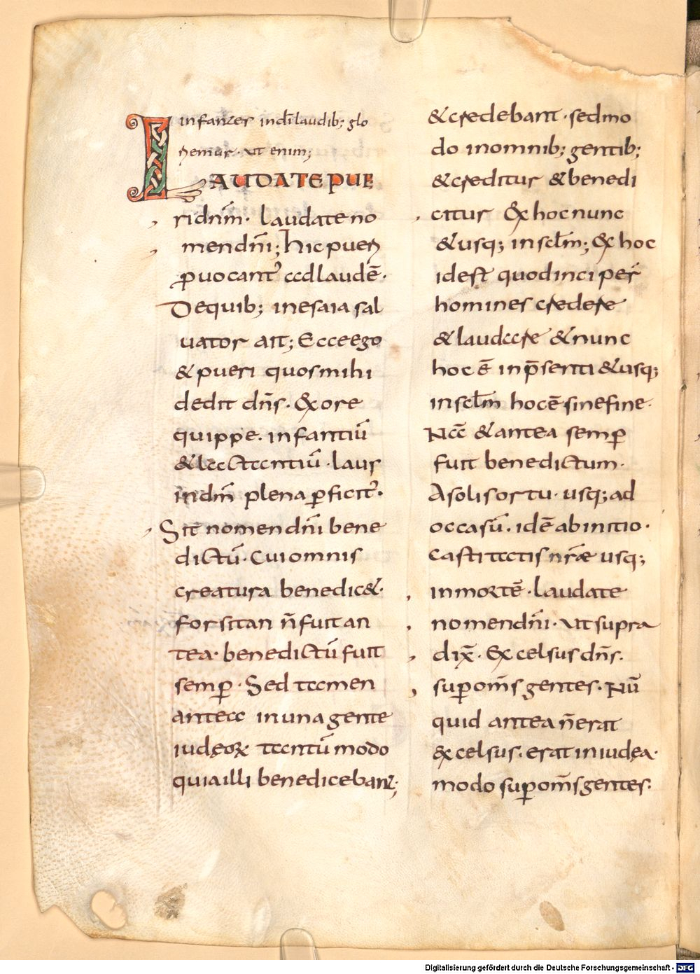 Image
