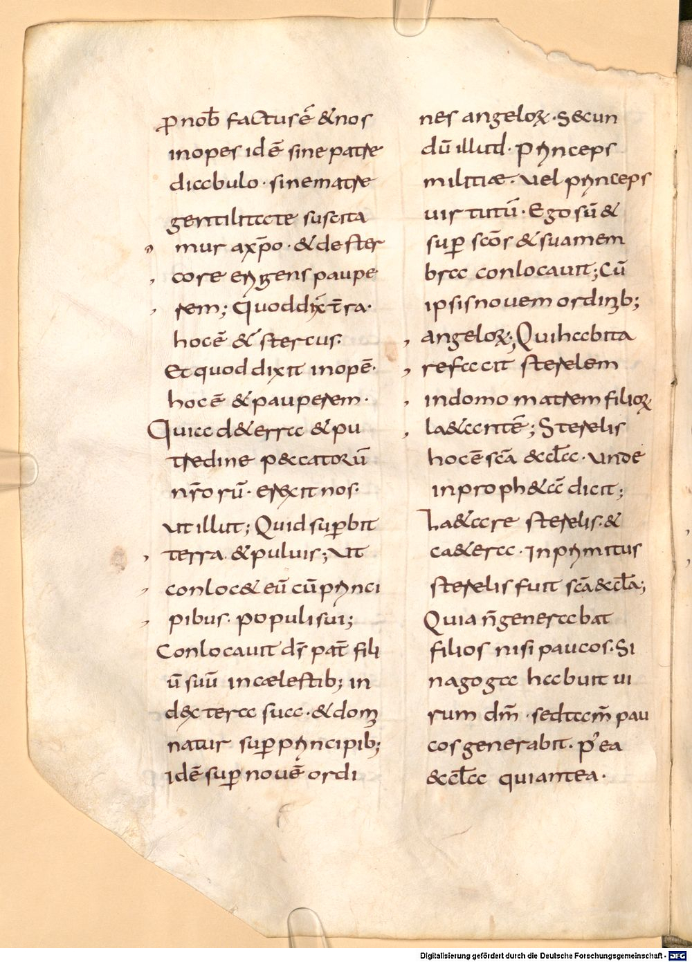 Image