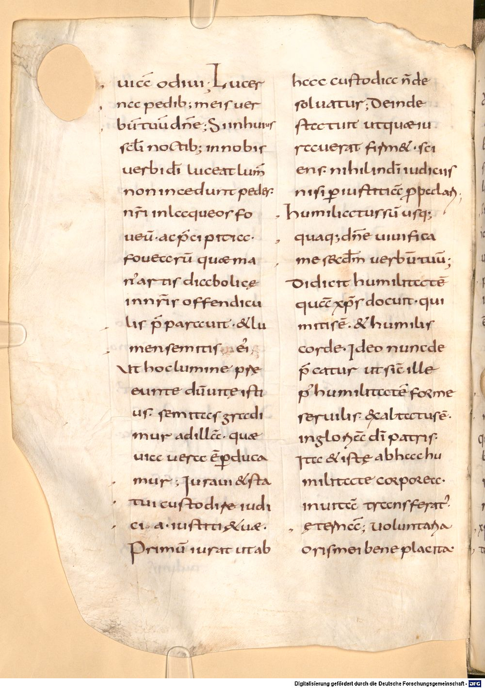 Image