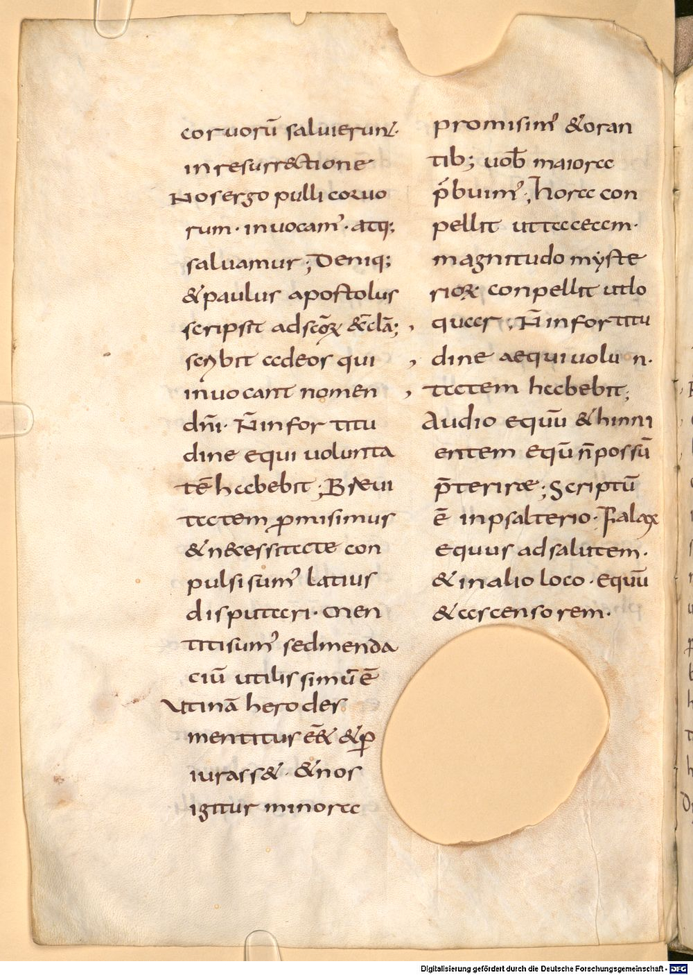 Image
