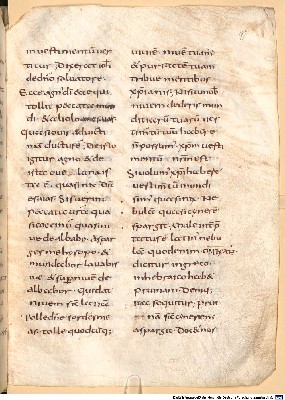 Image