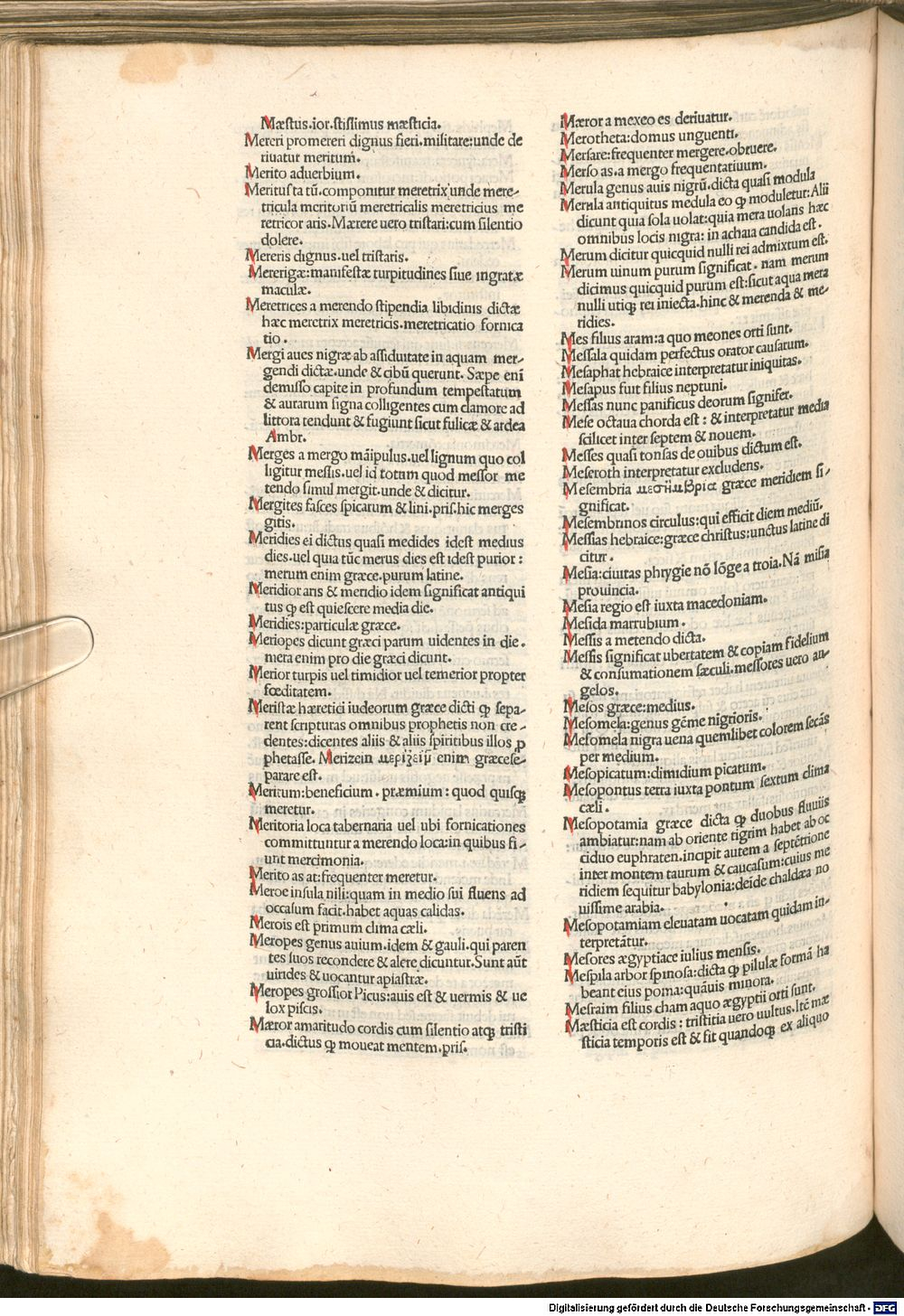 Image