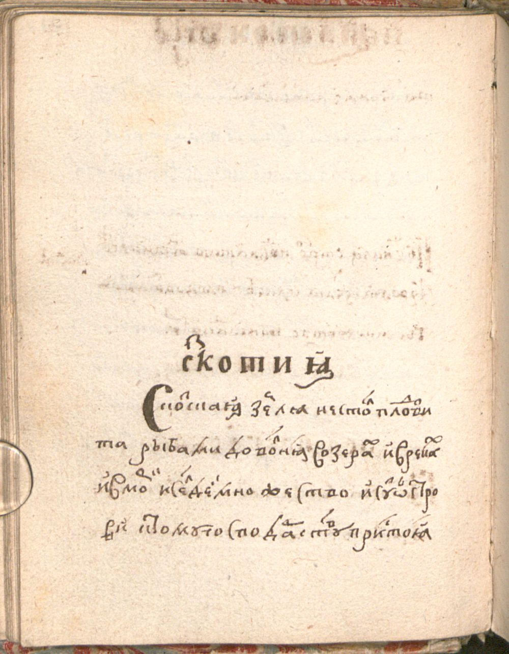 Image