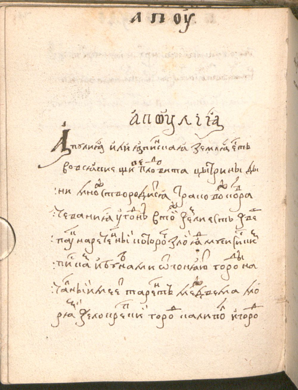 Image