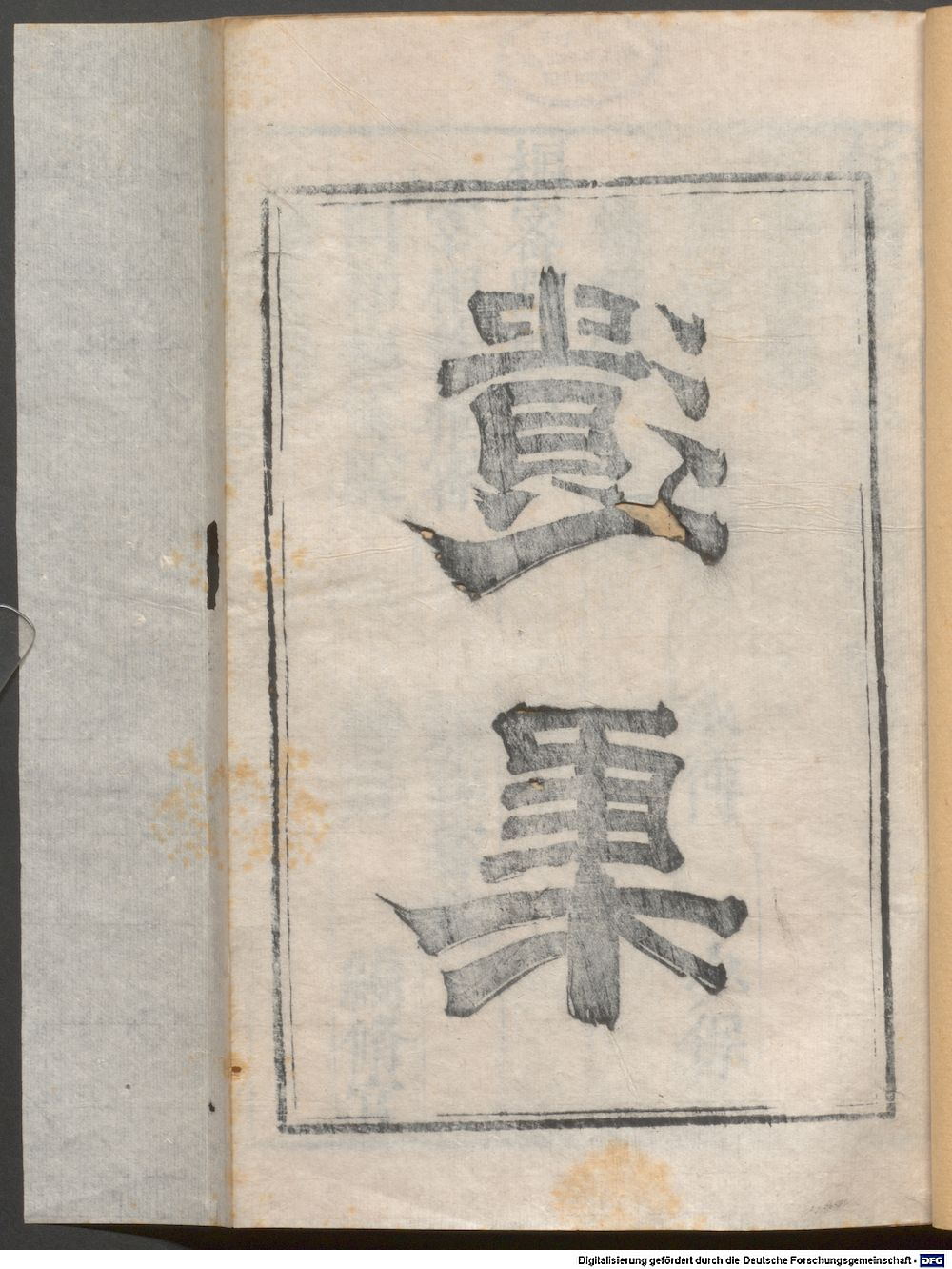 Image
