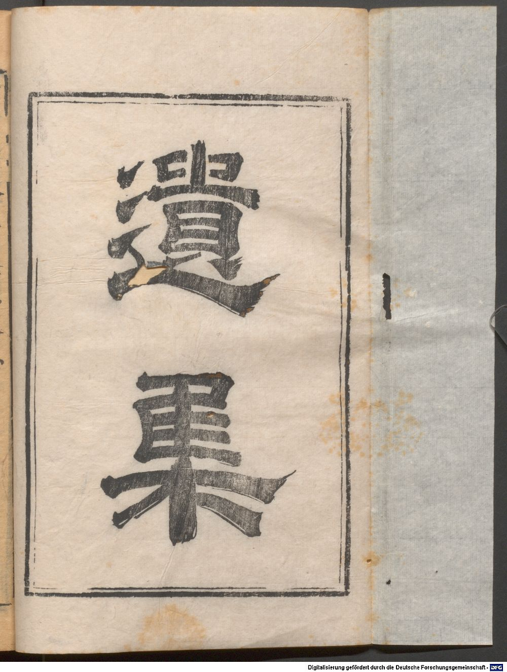 Image