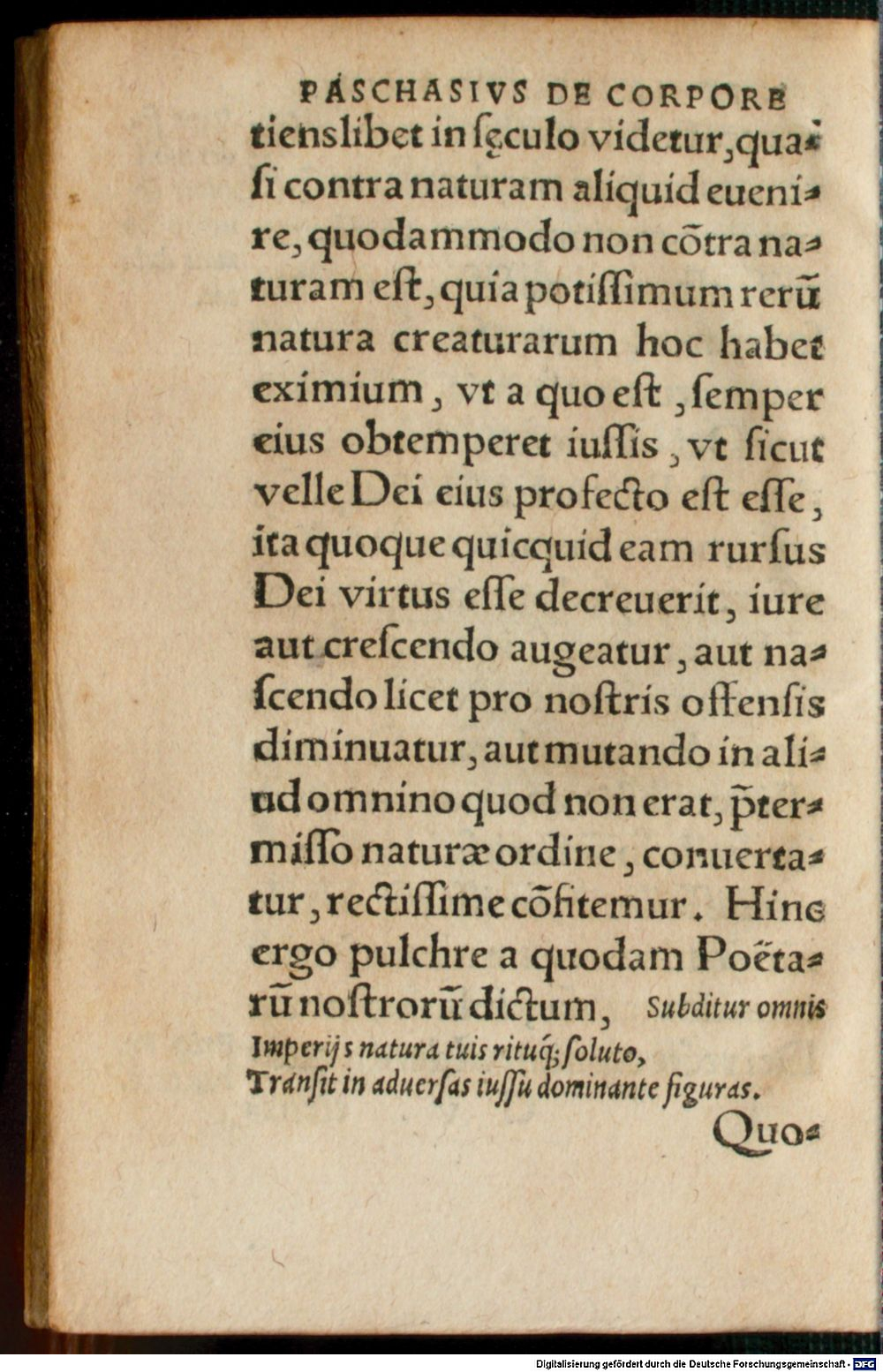 Image