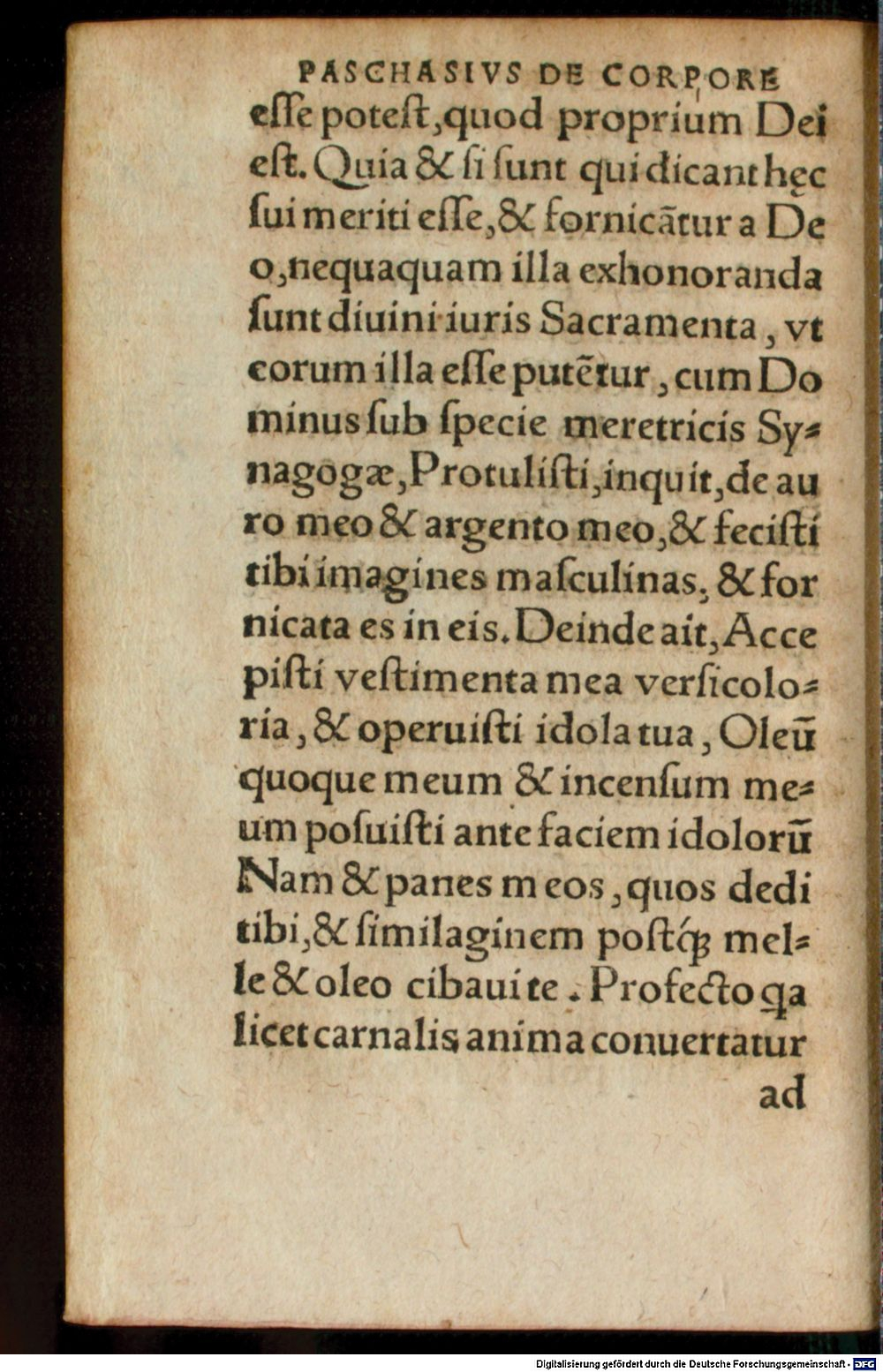 Image