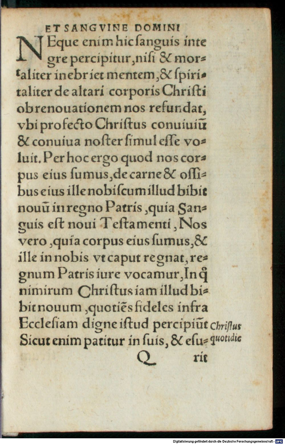 Image