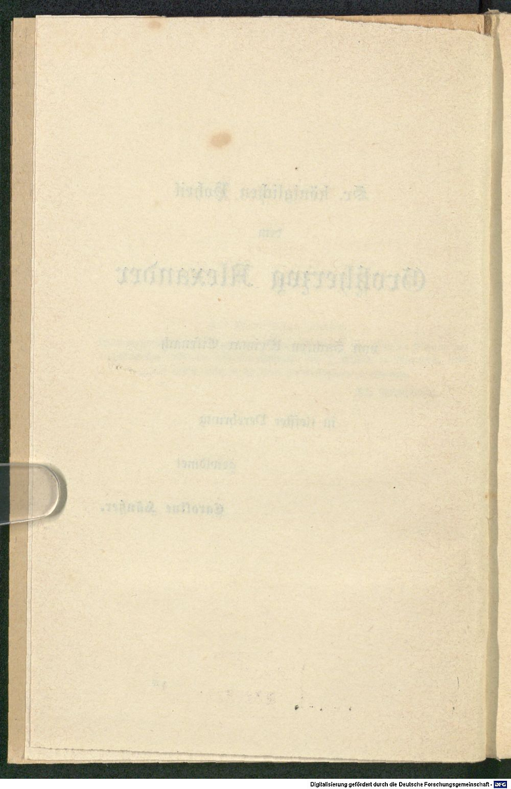 Image