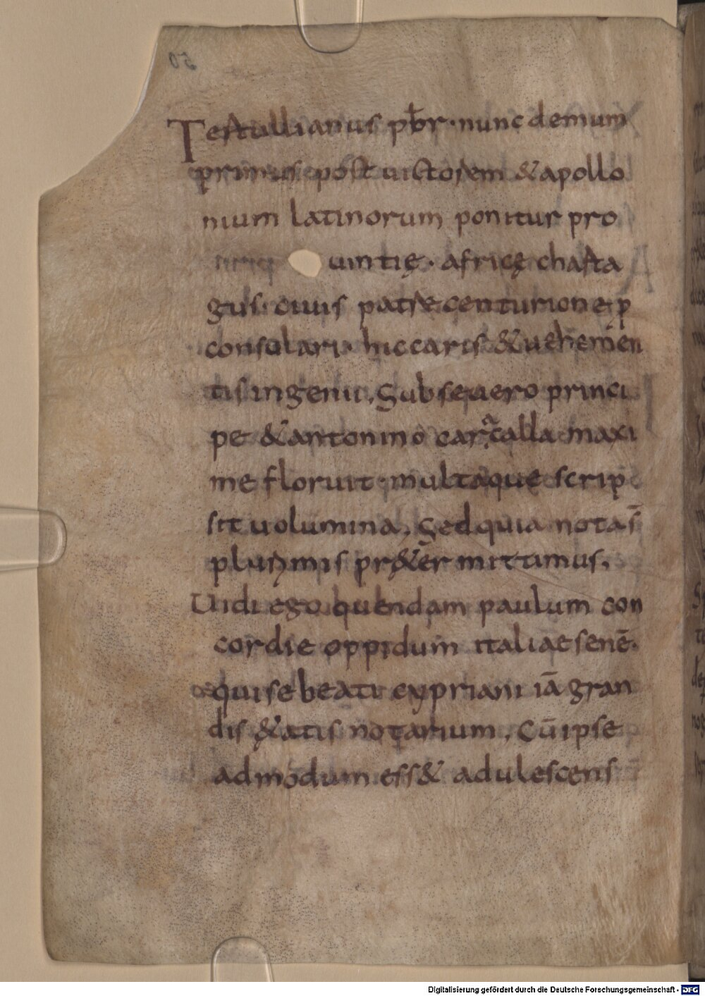 Image
