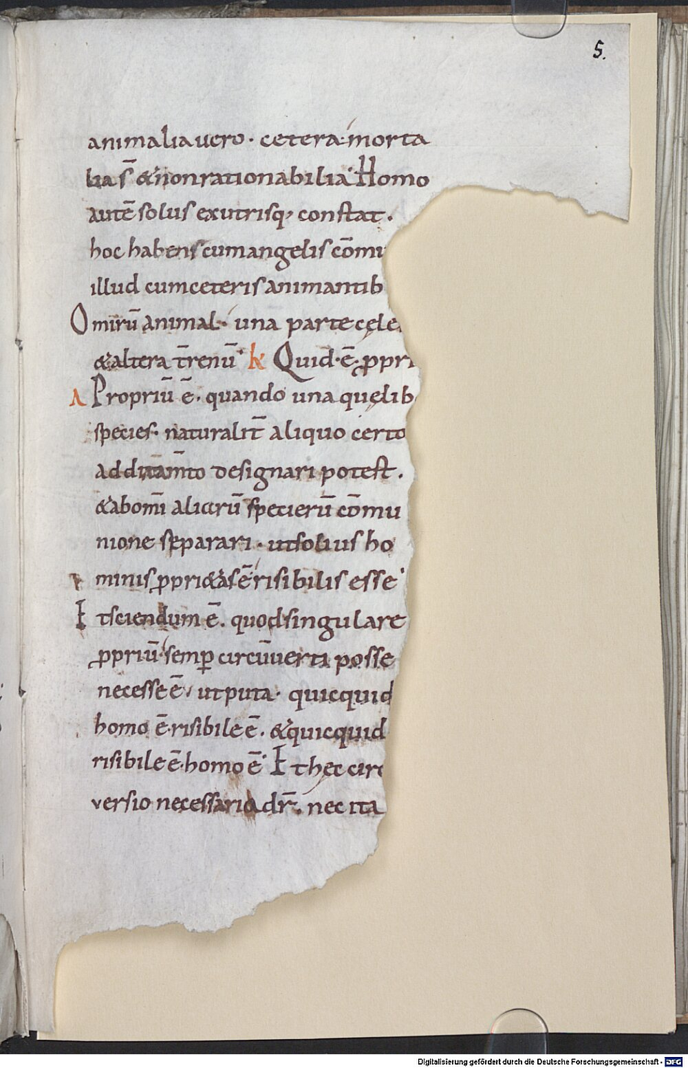Image