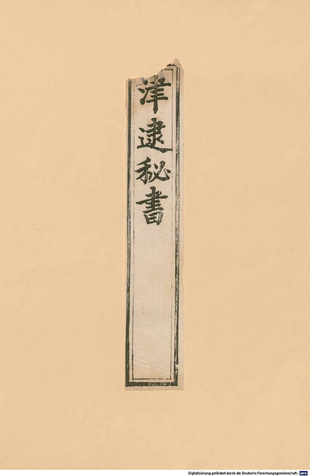 Image