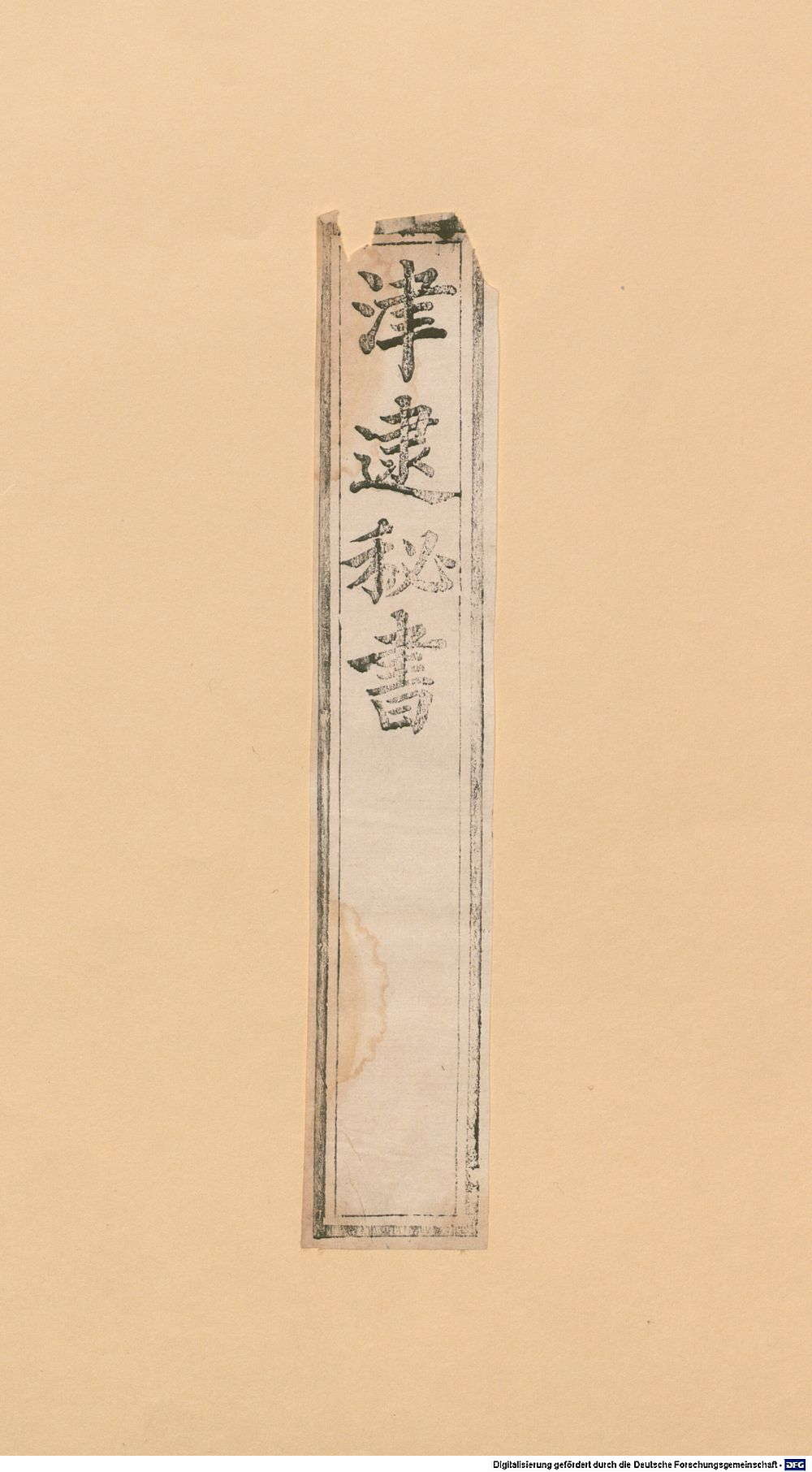 Image