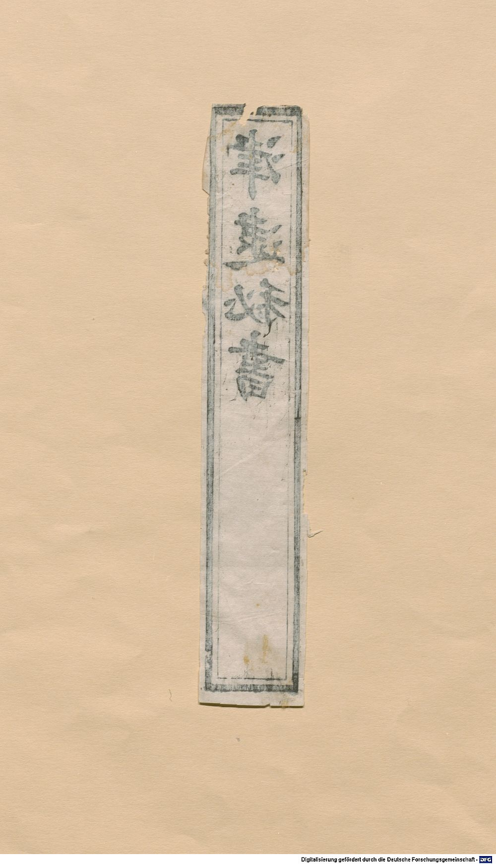 Image