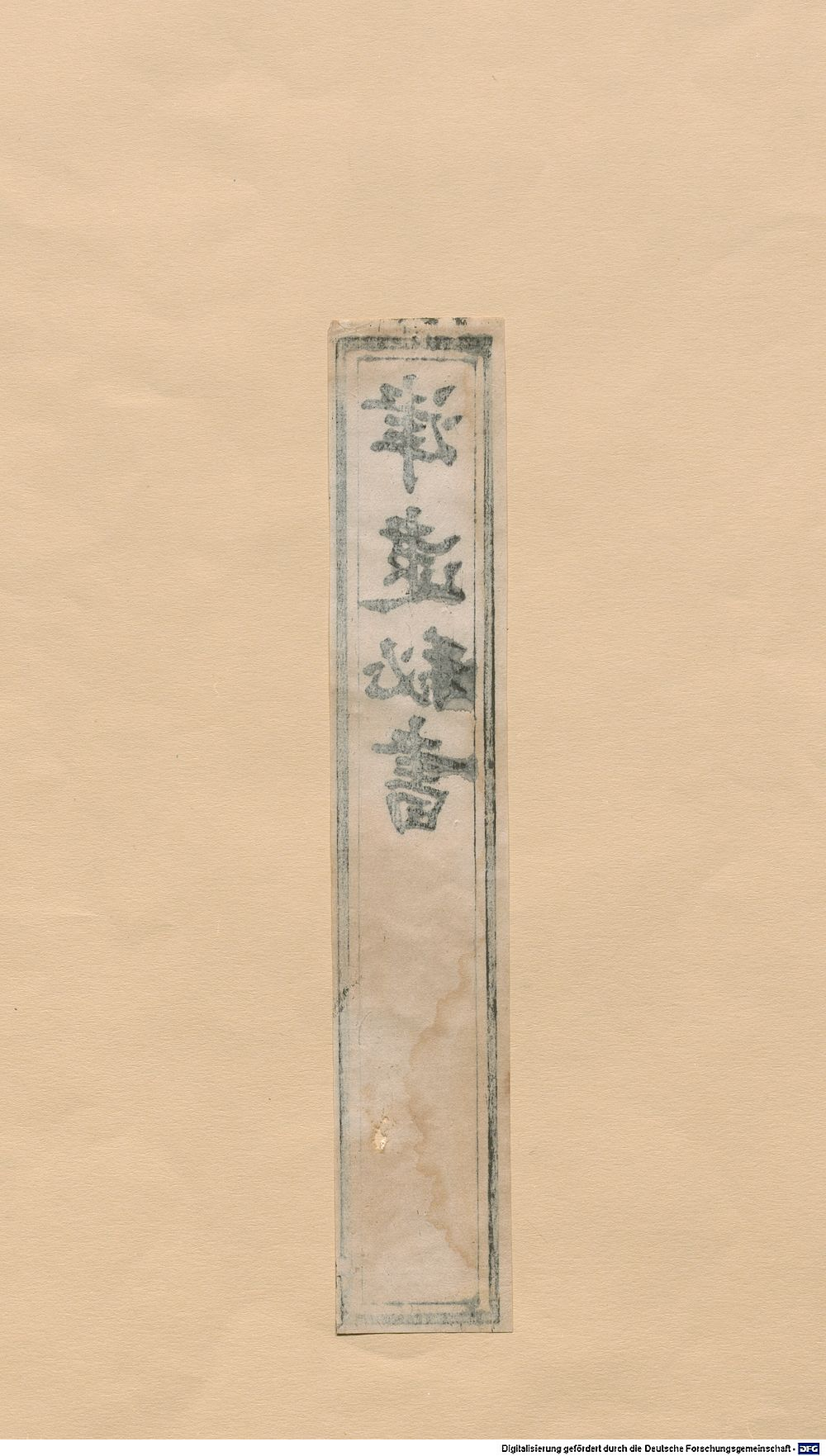 Image