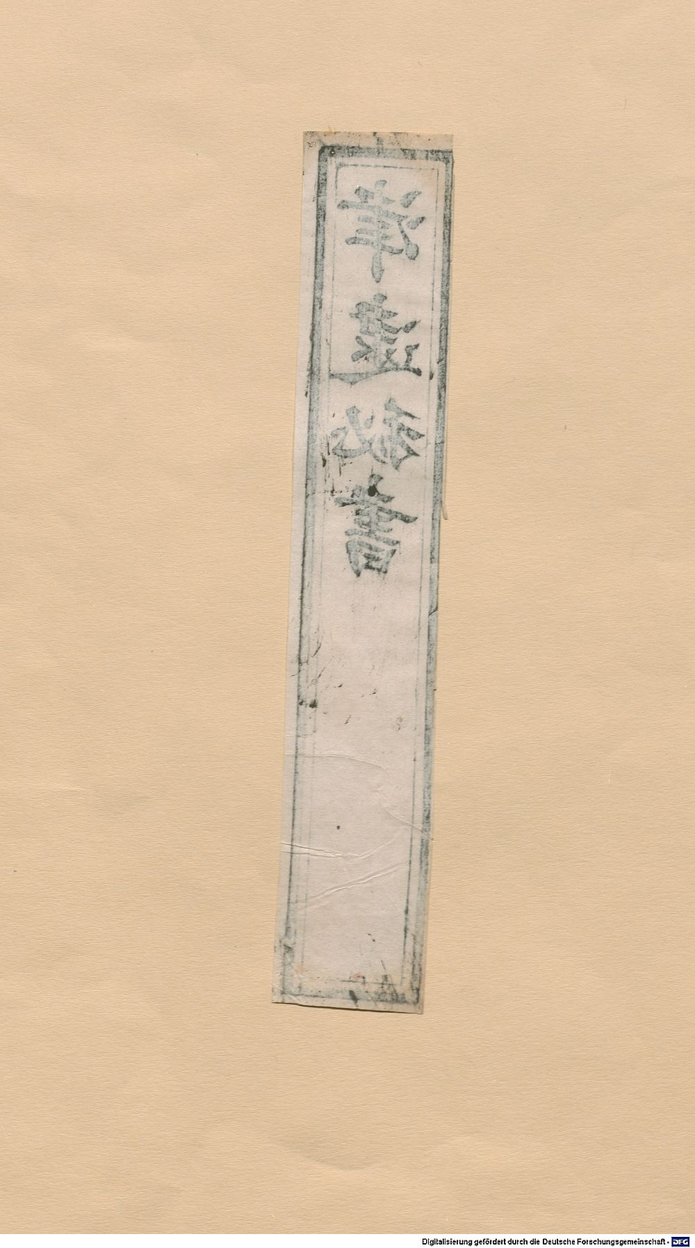 Image