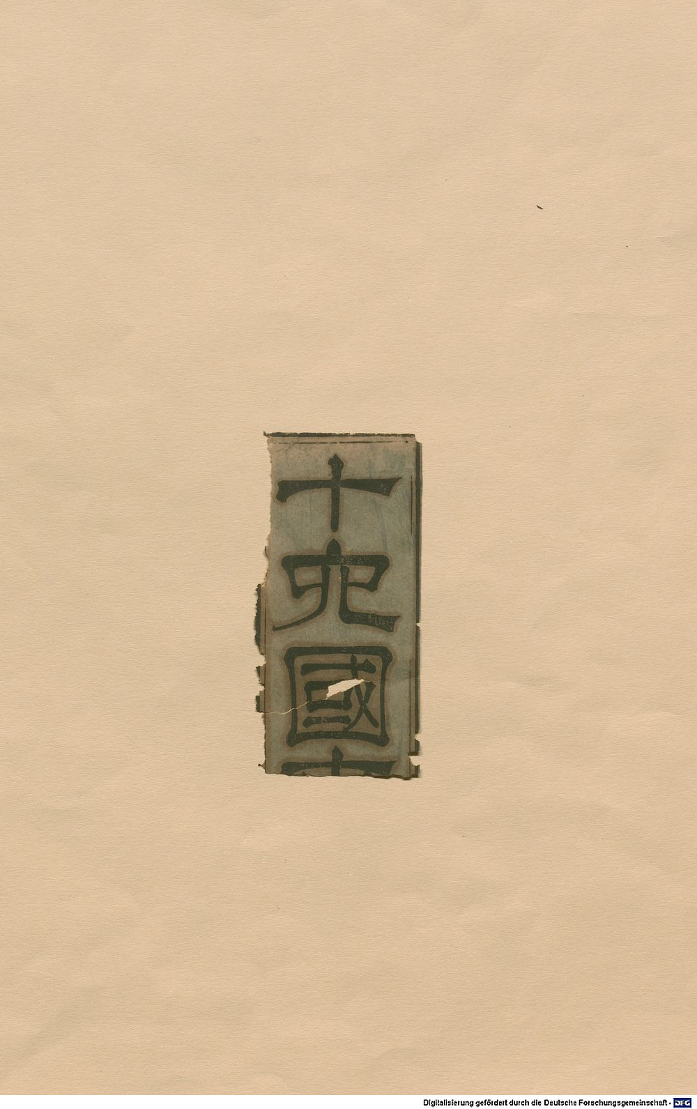 Image