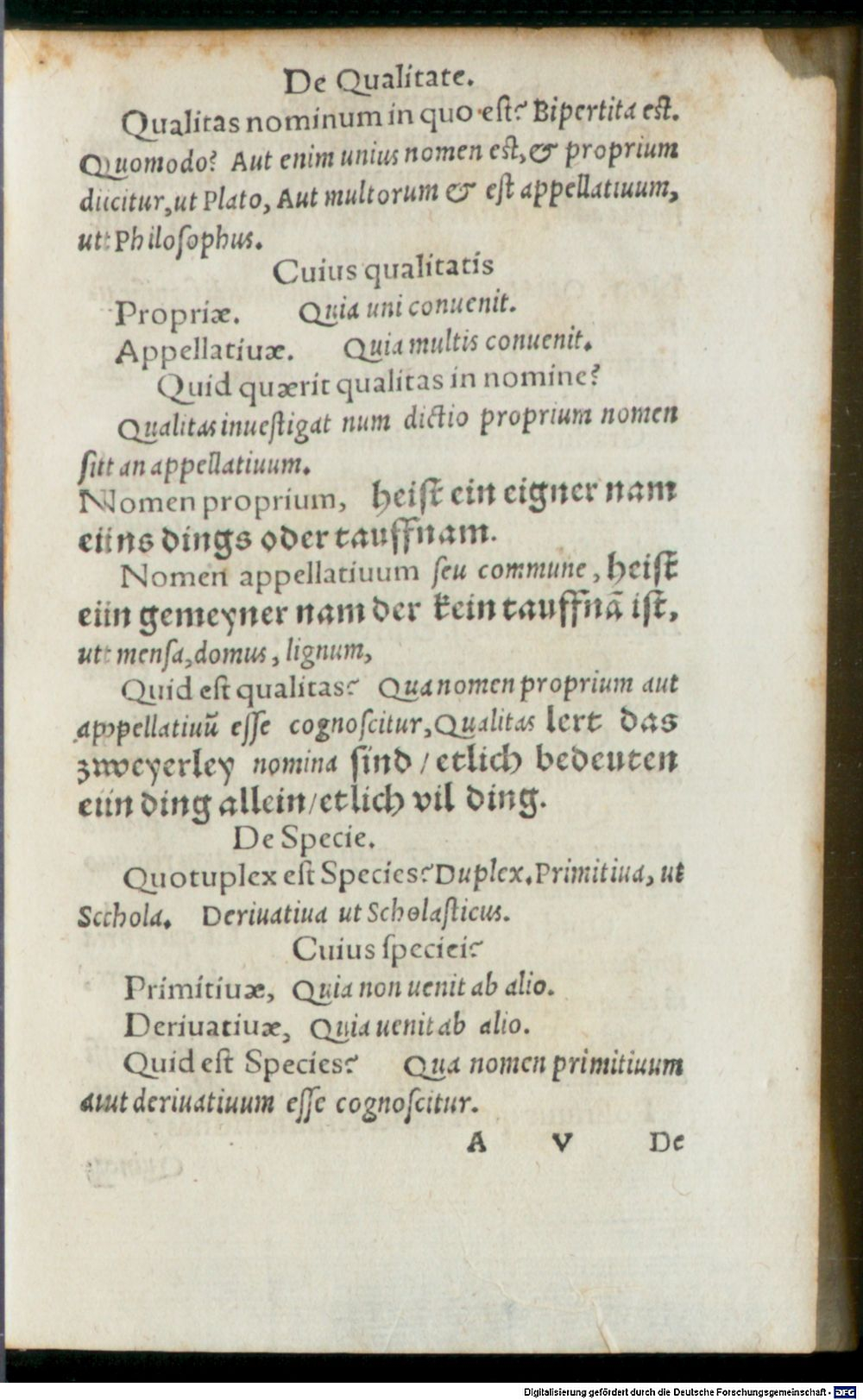 Image