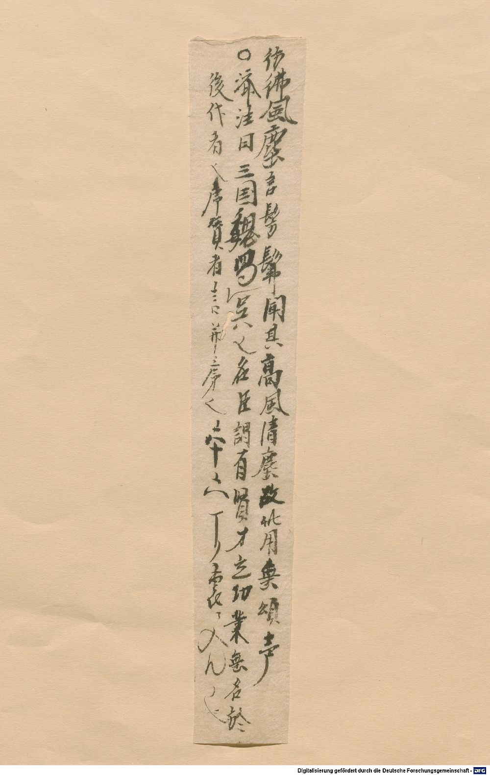 Image