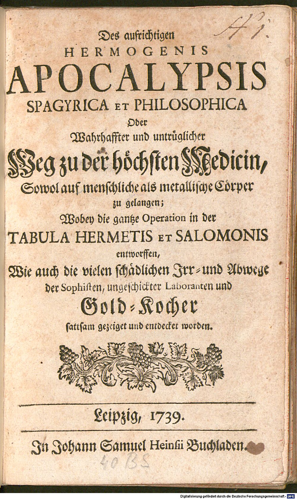Image