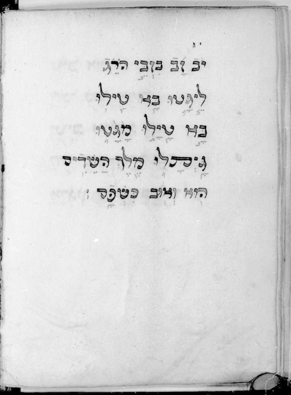 Image