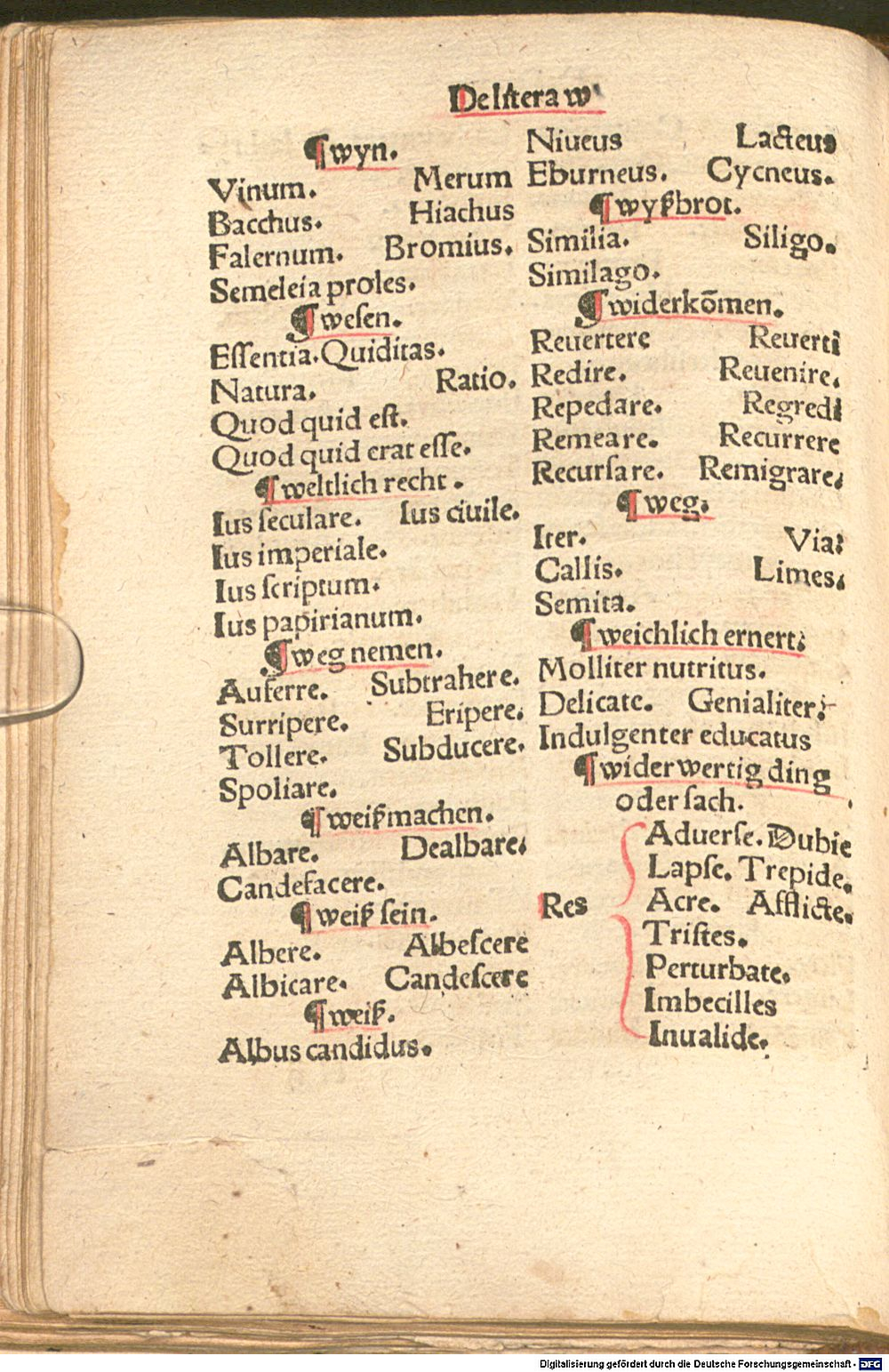 Image