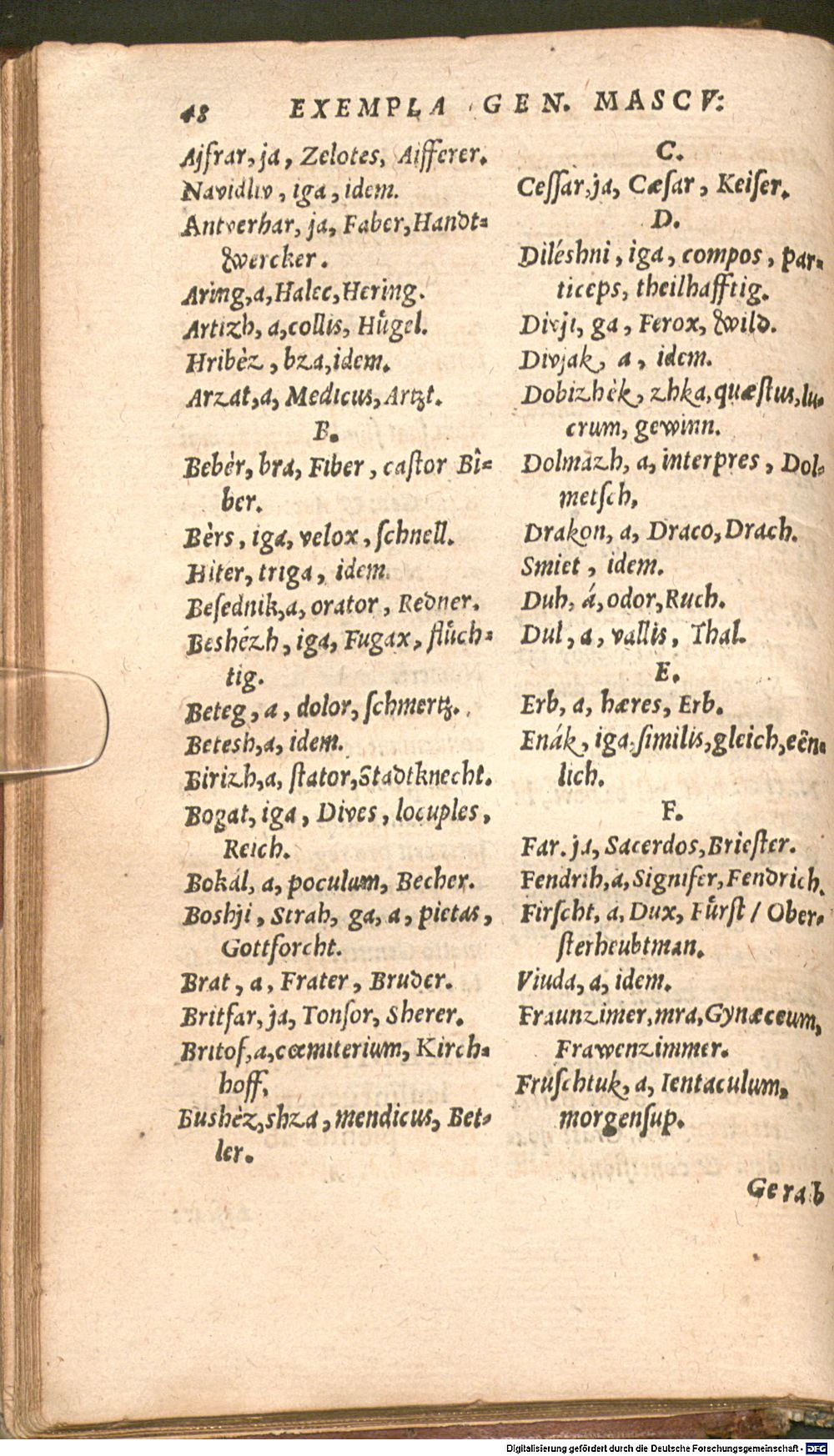 Image