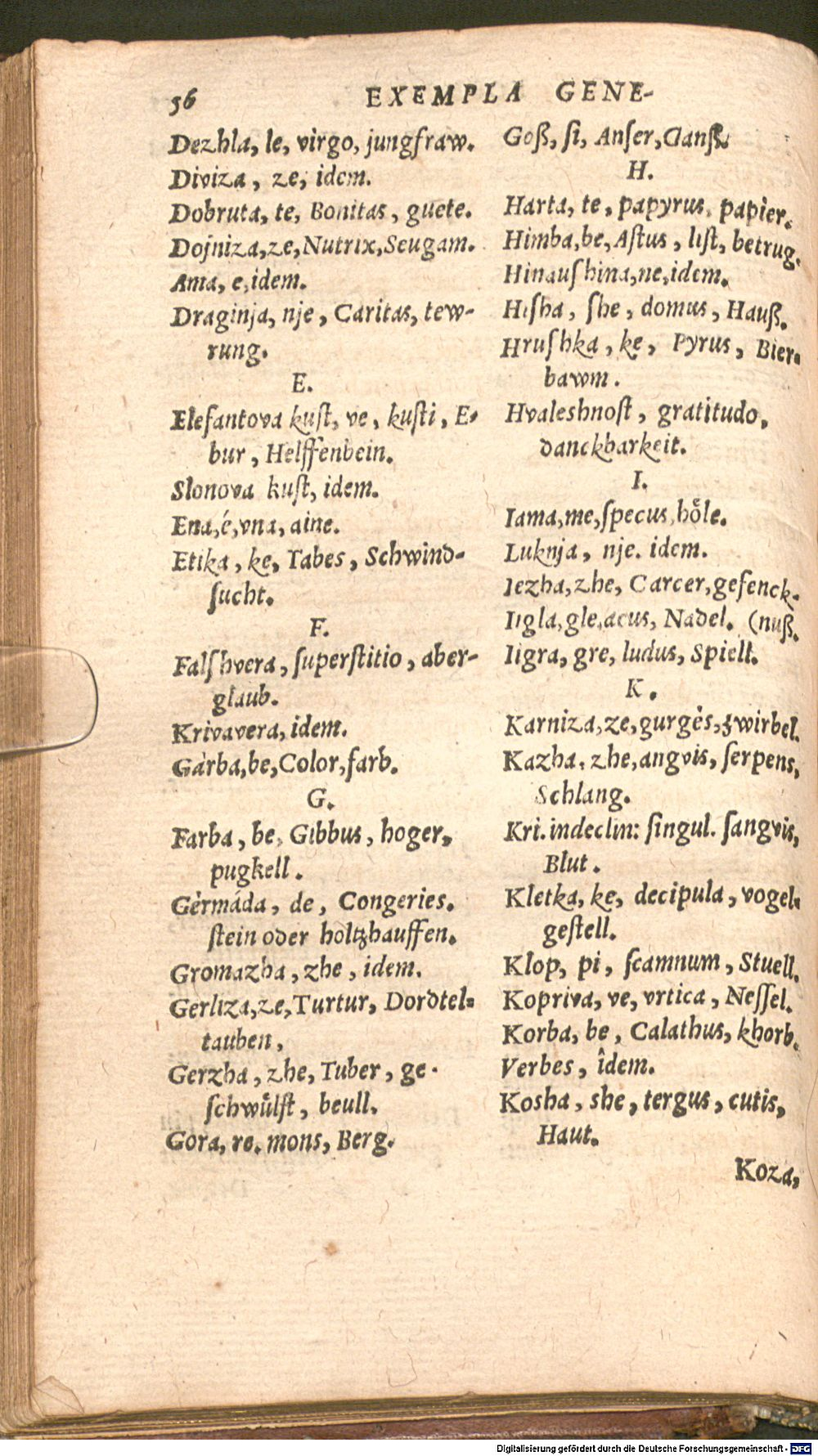 Image