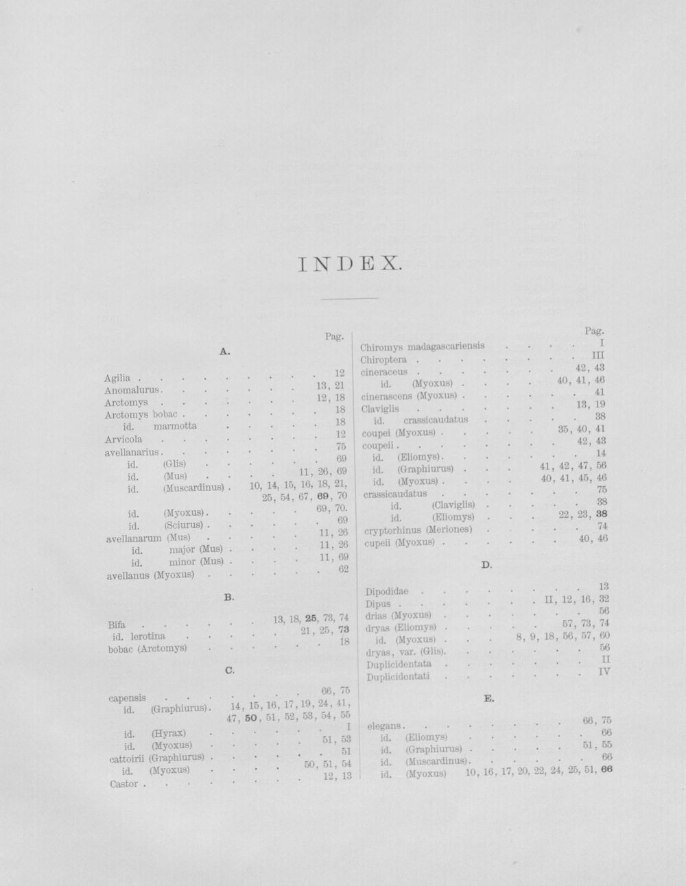 Image