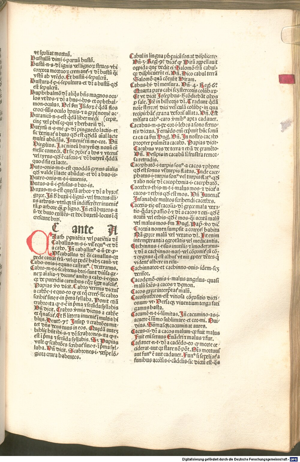 Image