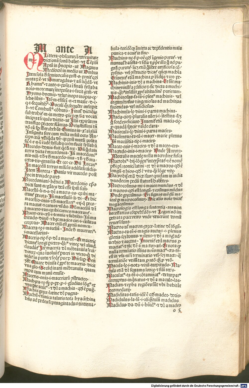 Image