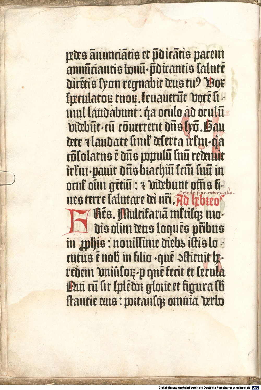 Image