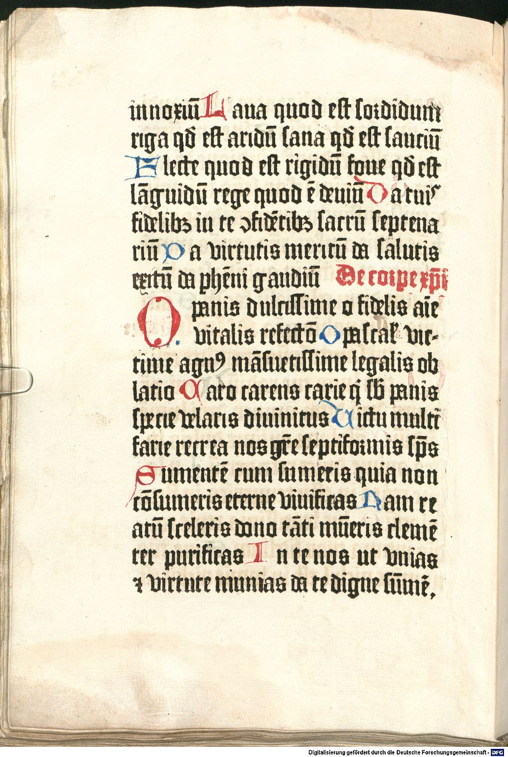 Image