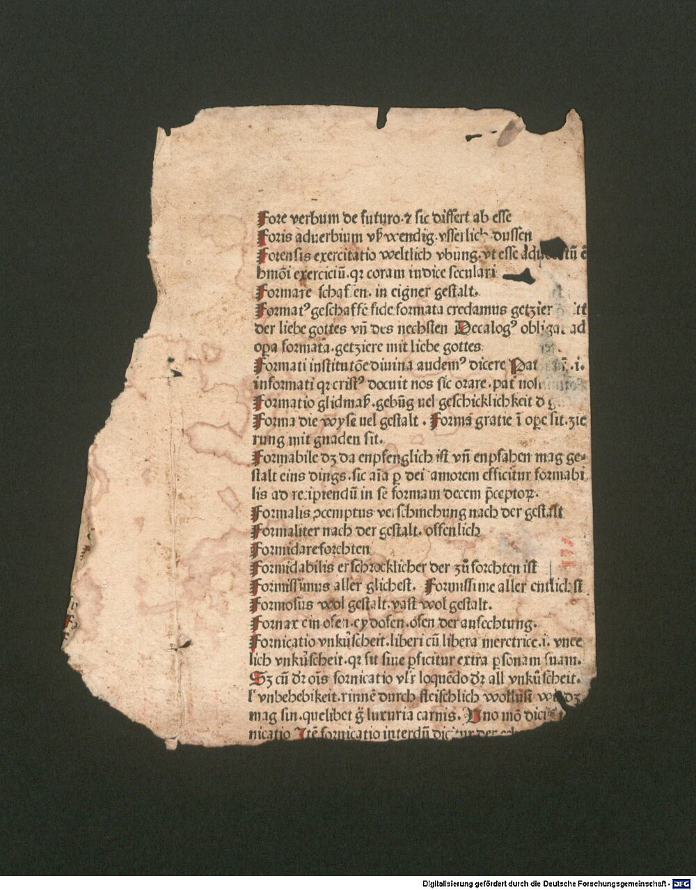 Image