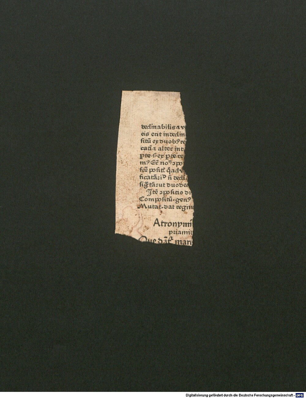 Image