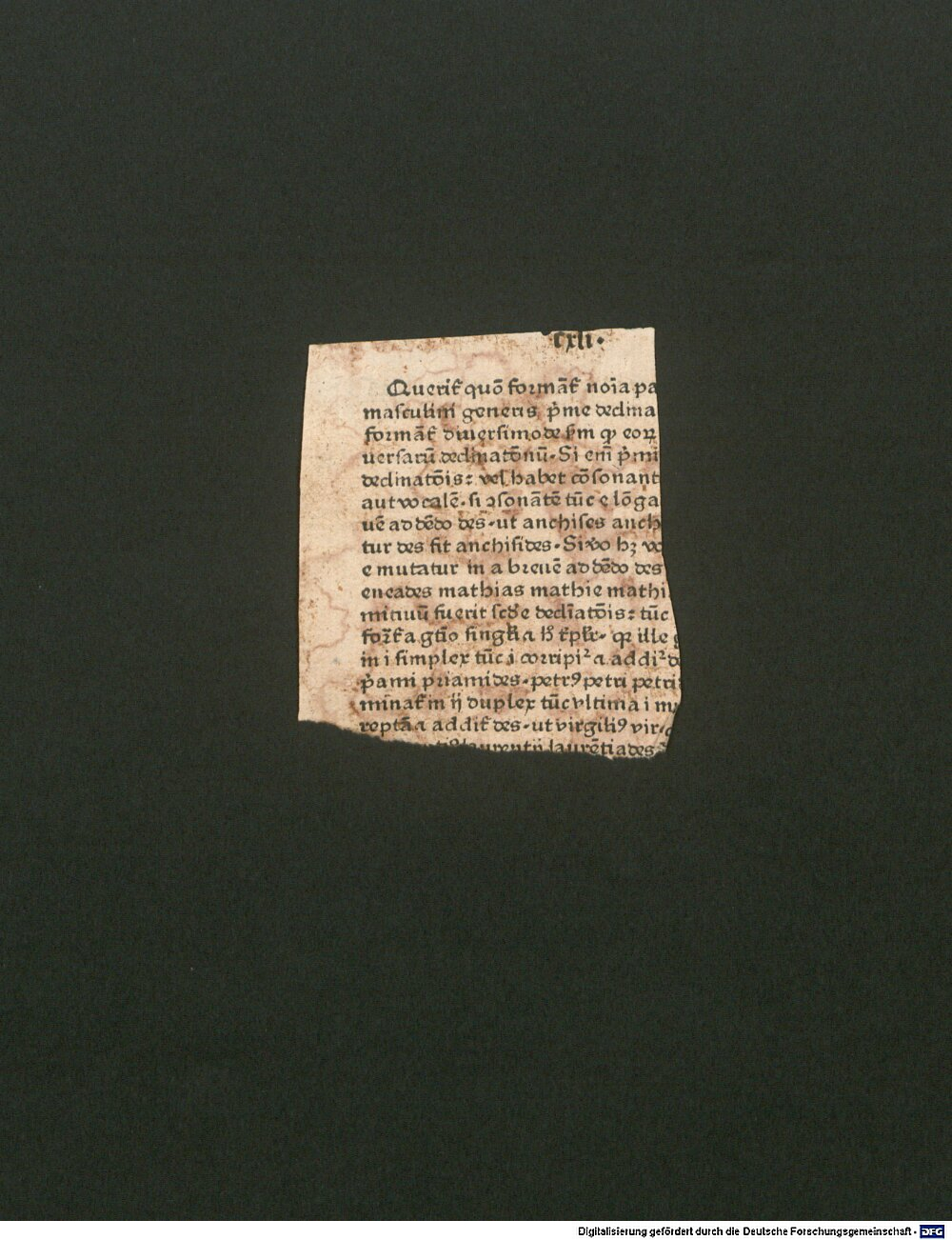 Image