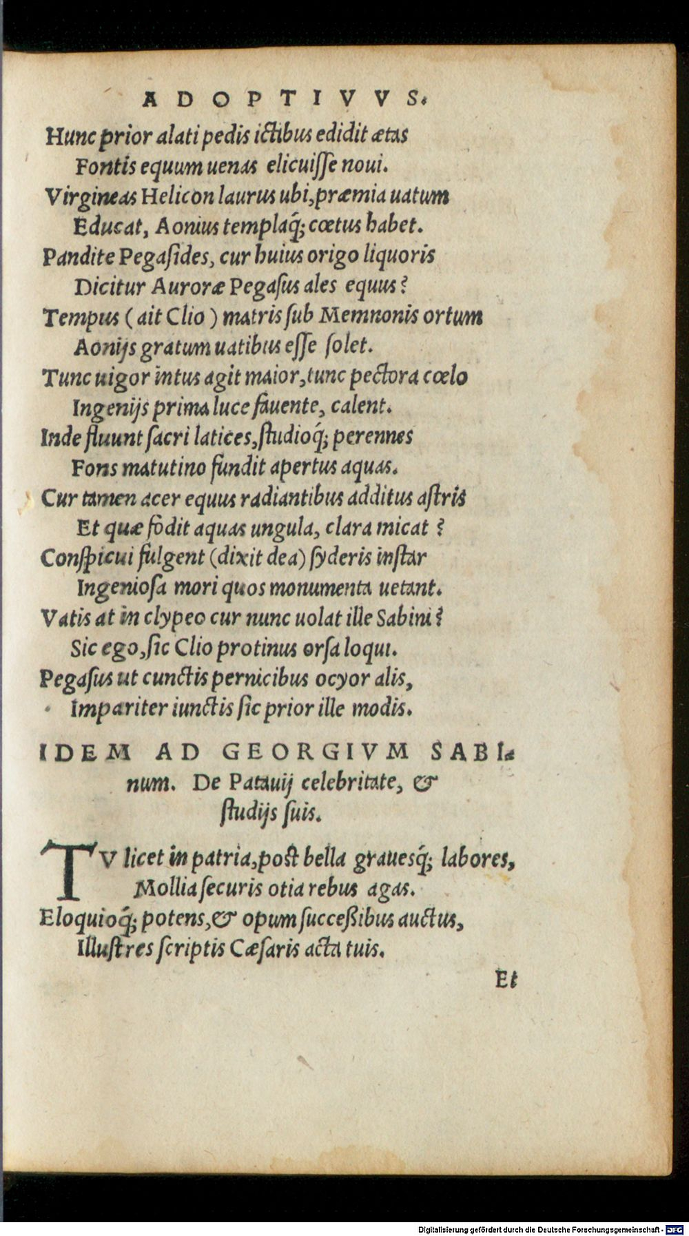 Image