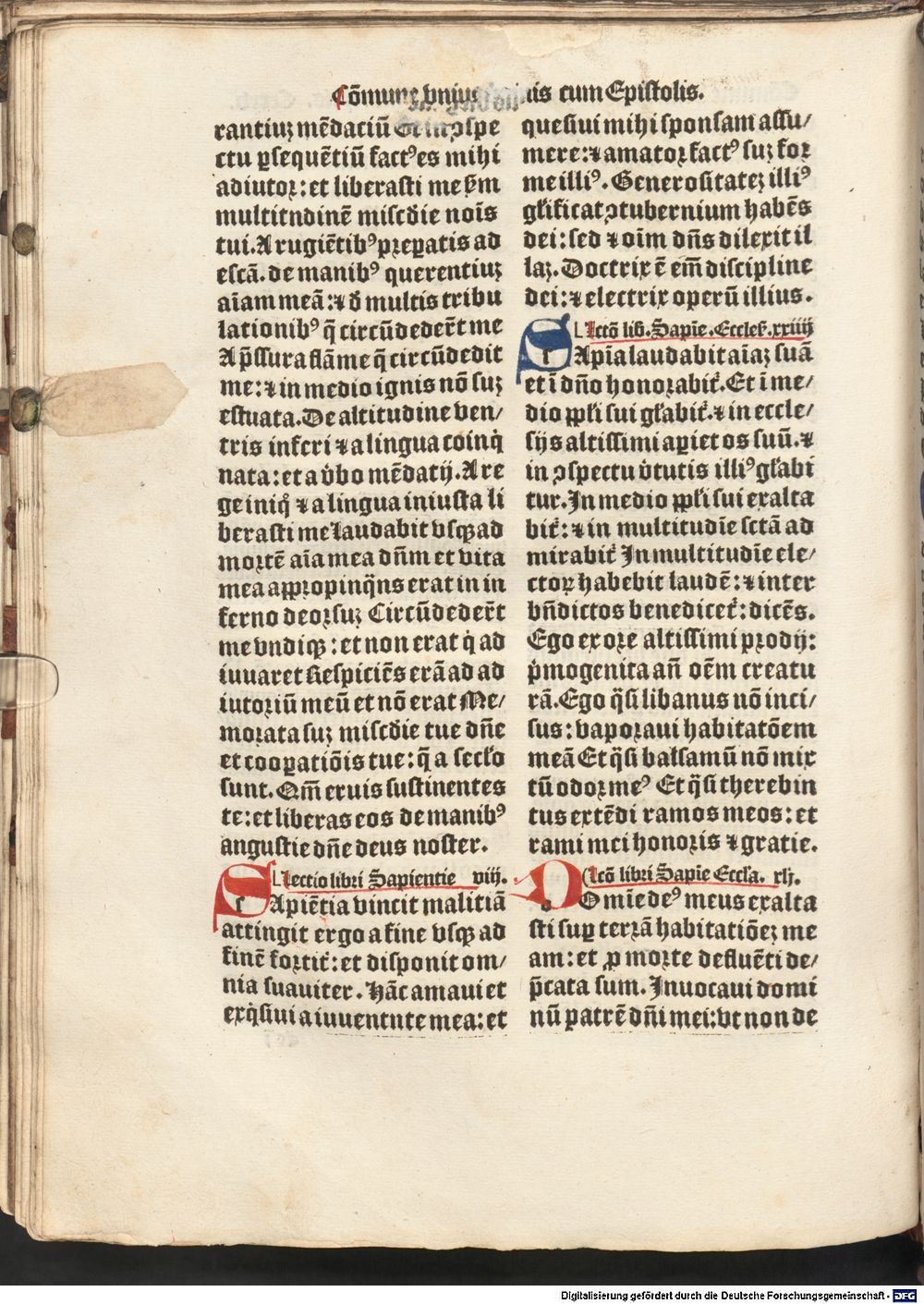 Image