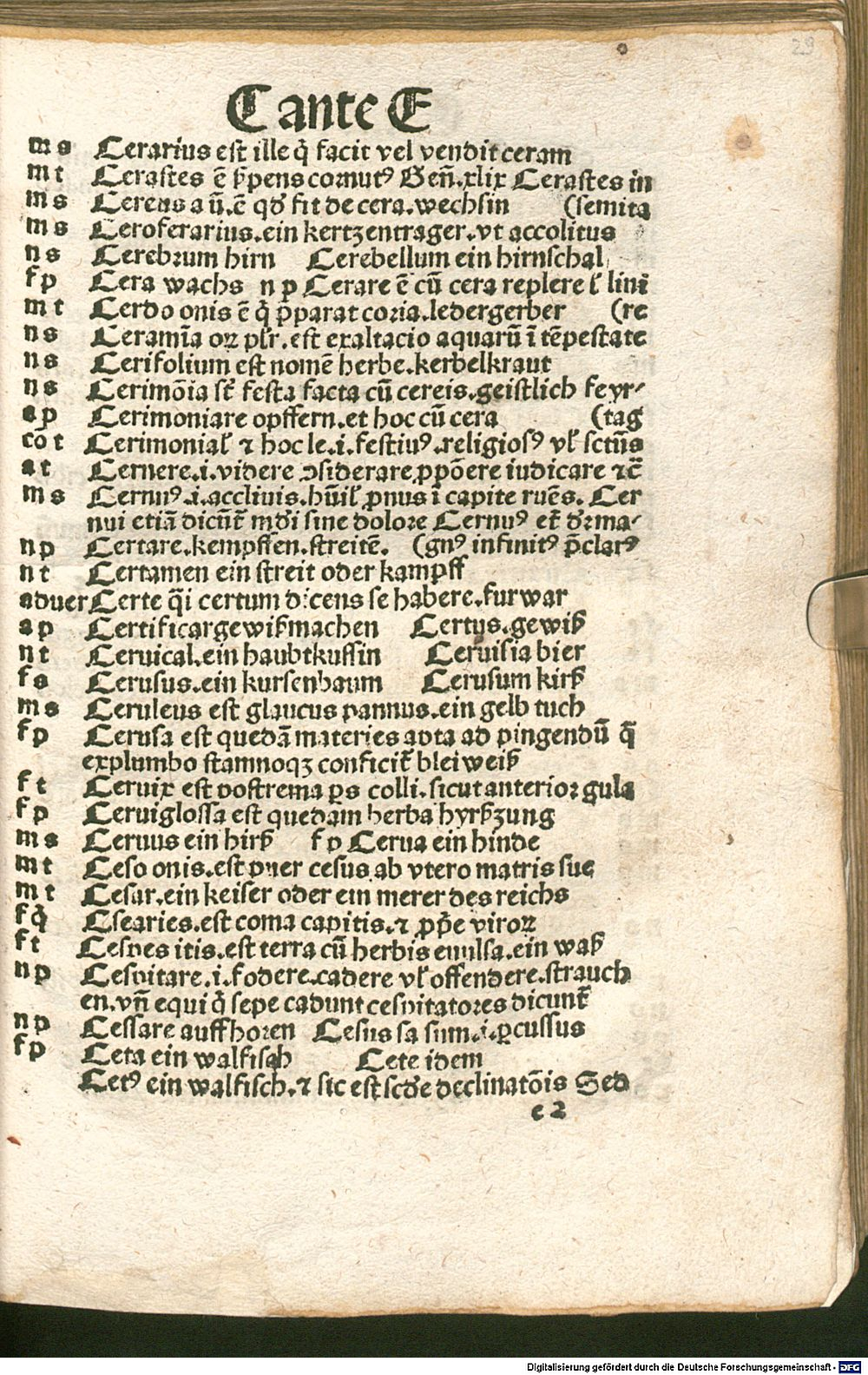 Image