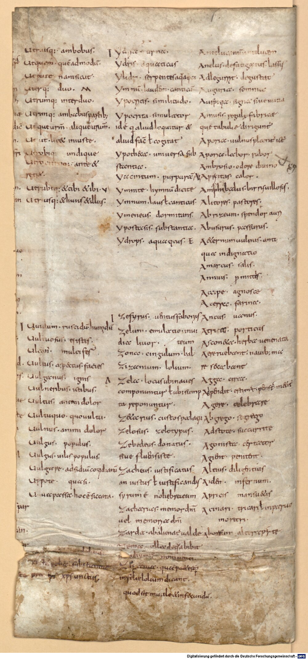 Image