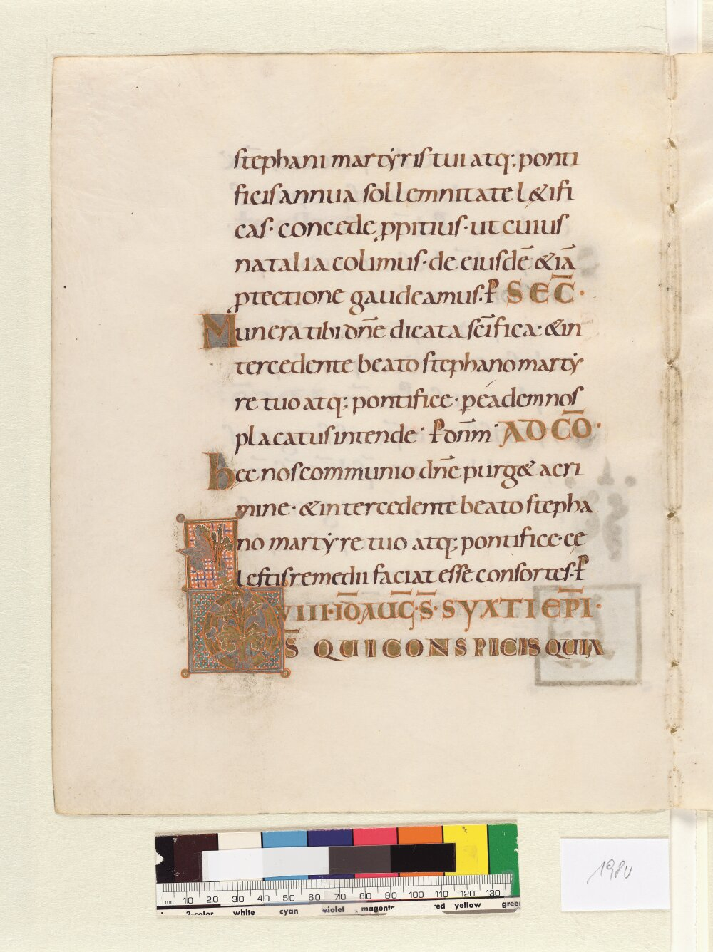 Image