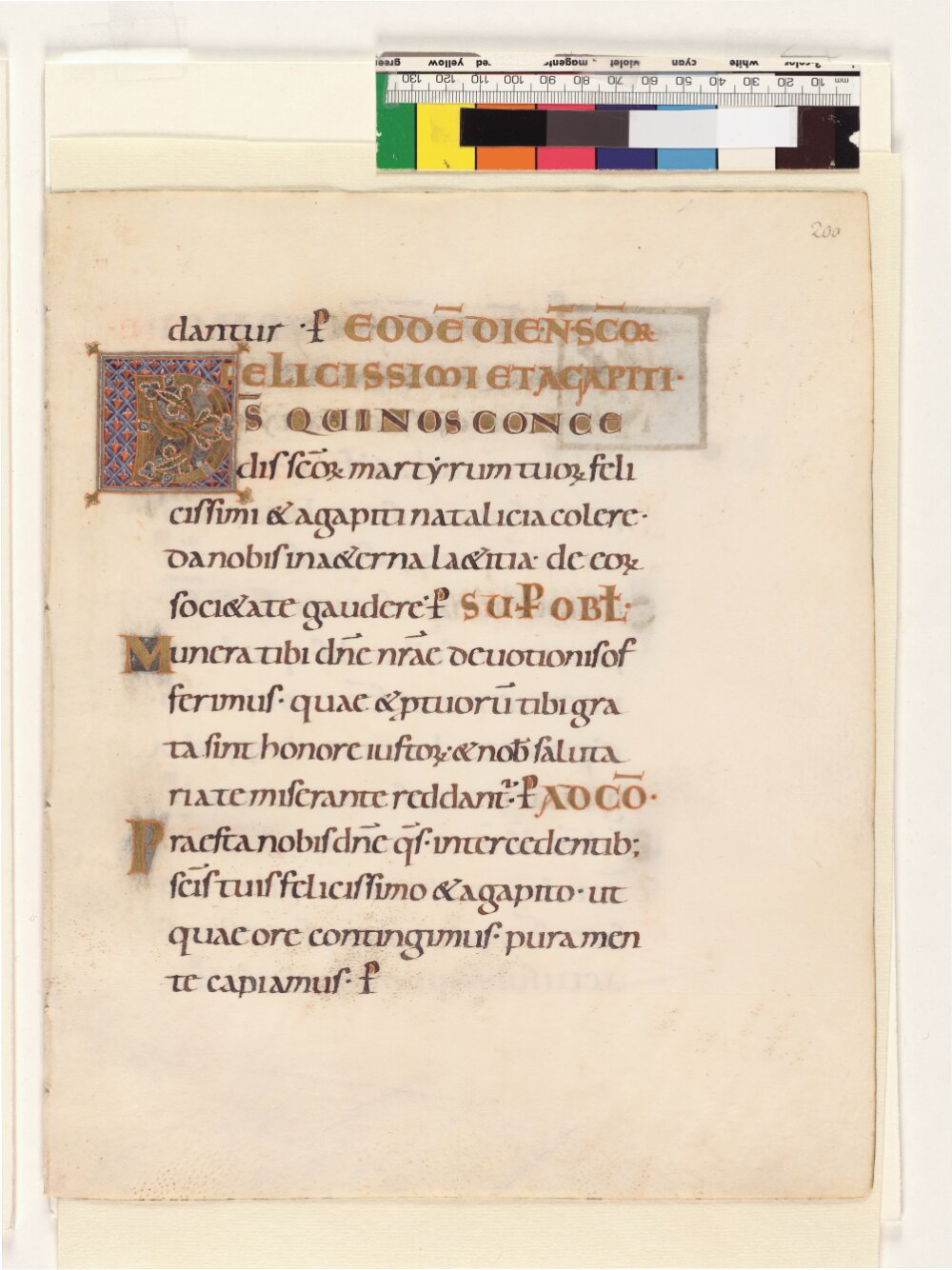 Image
