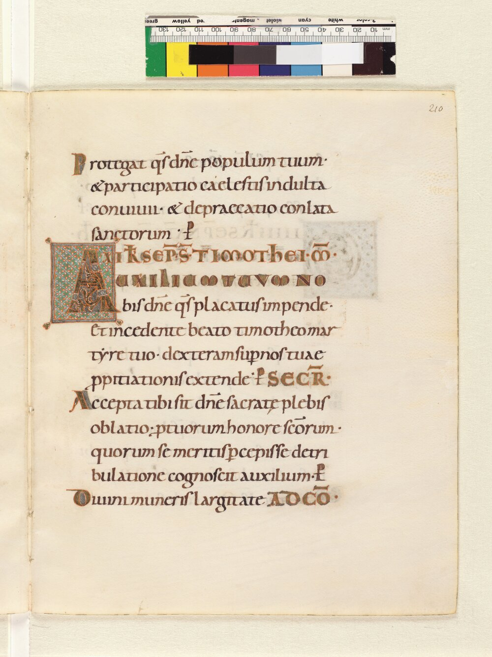 Image