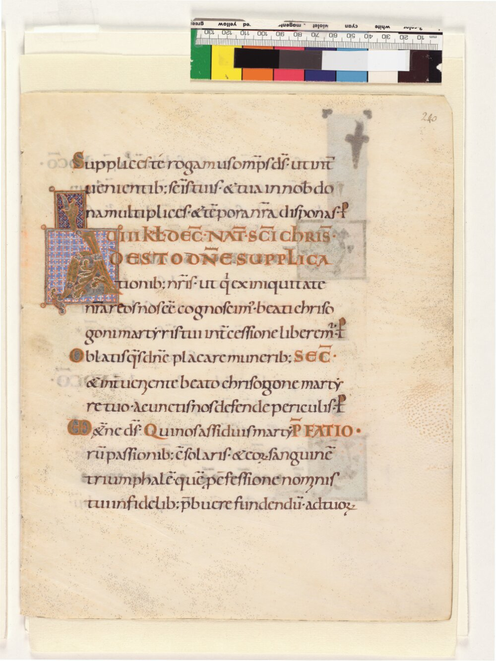 Image